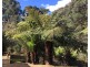 198 Whitehills Road, Penguin TAS 7316
