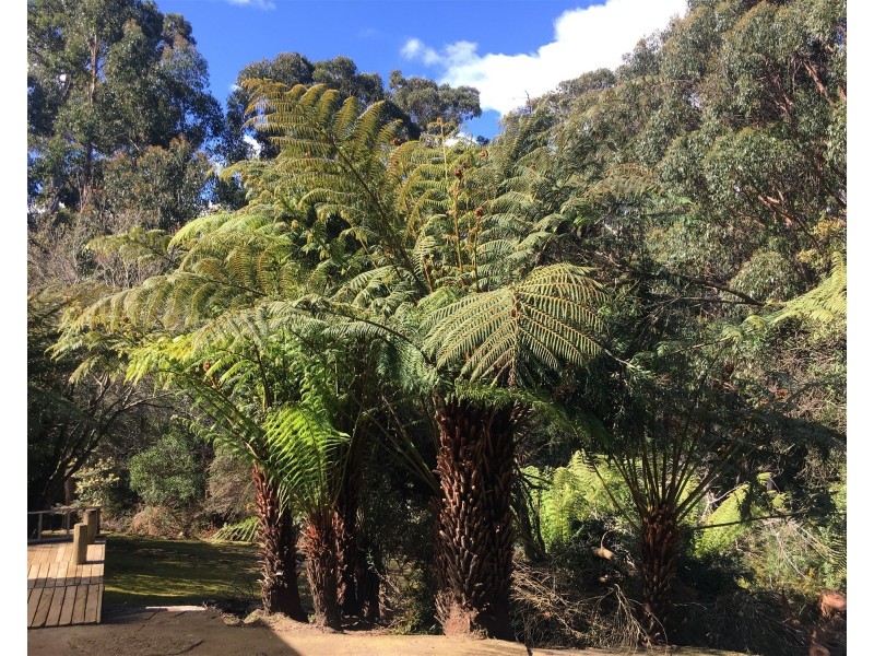 198 Whitehills Road, Penguin TAS 7316
