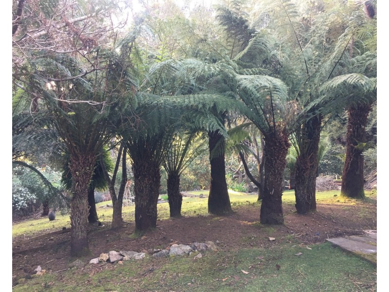 198 Whitehills Road, Penguin TAS 7316