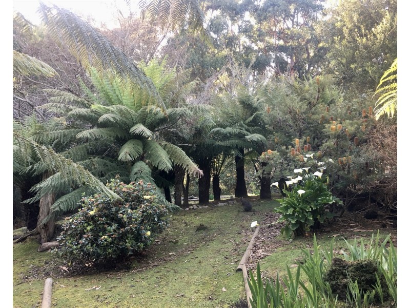 198 Whitehills Road, Penguin TAS 7316
