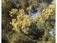 198 Whitehills Road, Penguin TAS 7316