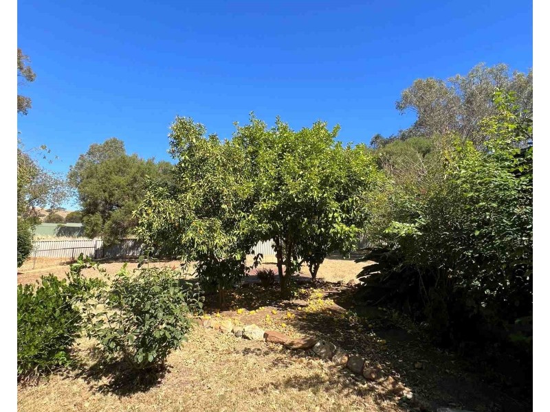 8 Arthur Street, Toodyay WA 6566