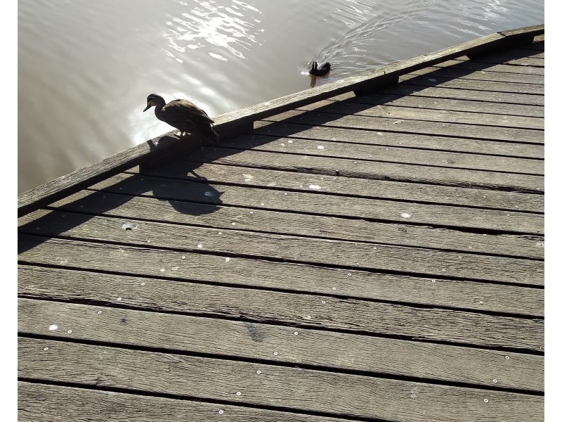 Taylors Lakes VIC 3038