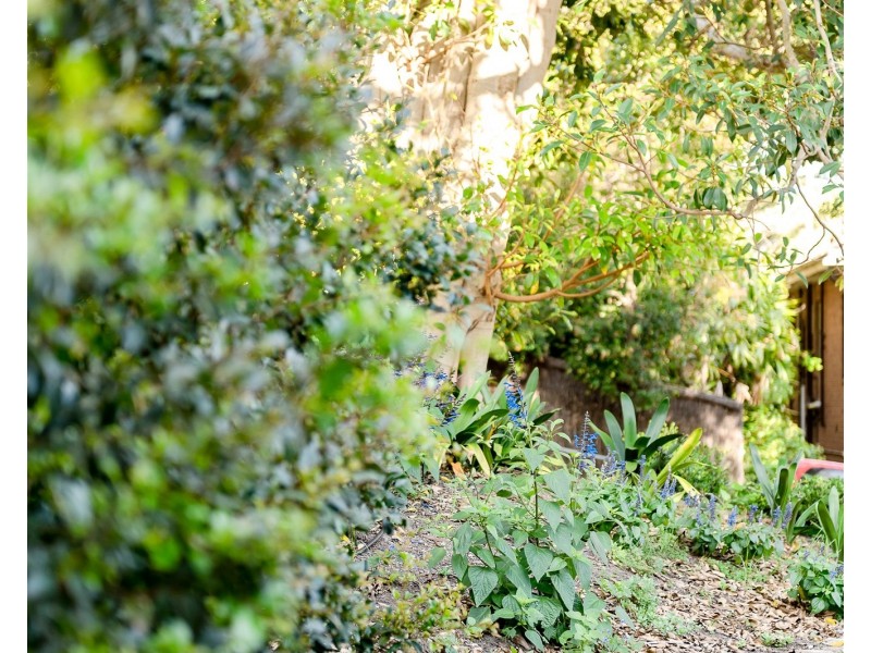 23 Brown Street, Newcastle NSW 2300