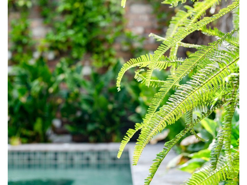 23 Brown Street, Newcastle NSW 2300