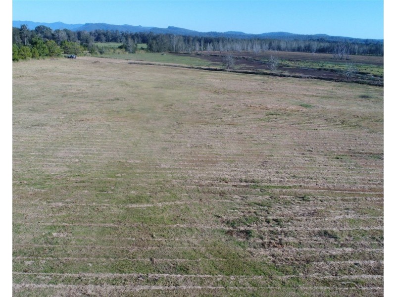 Jones Island NSW 2430