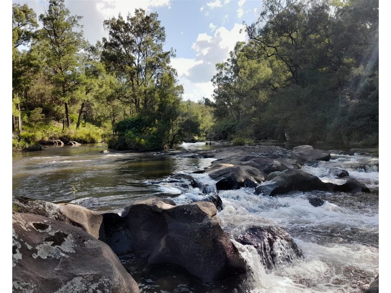 Dorrigo NSW 2453