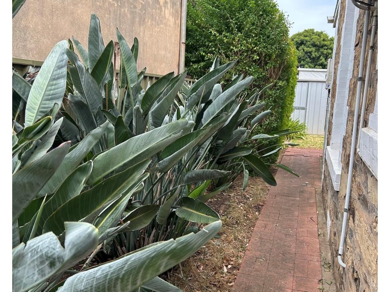 2/306 Goodwood Road, Clarence Park SA 5034