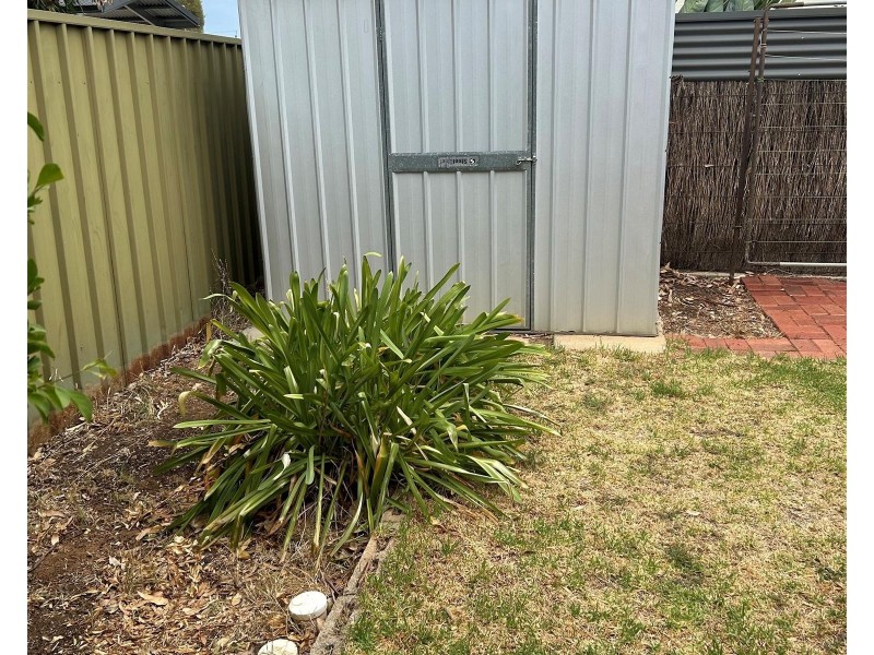 2/306 Goodwood Road, Clarence Park SA 5034