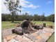 64 Spotted Gum Drive, Tapitallee NSW 2540