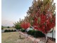 945 Monaro Highway, Bunyan NSW 2630