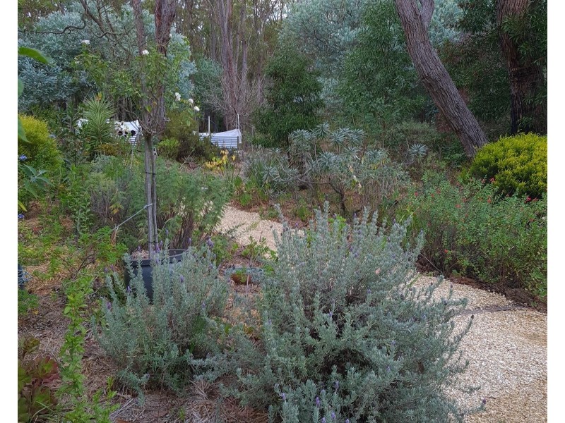 2036 Porongurup  Road, Porongurup WA 6324