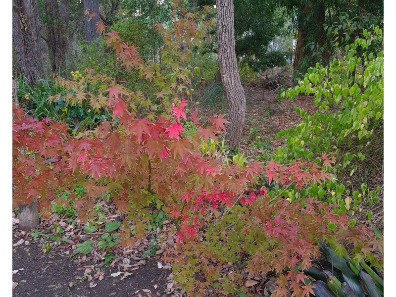 2036 Porongurup  Road, Porongurup WA 6324