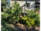 3  Petersen Street, Beaudesert QLD 4285