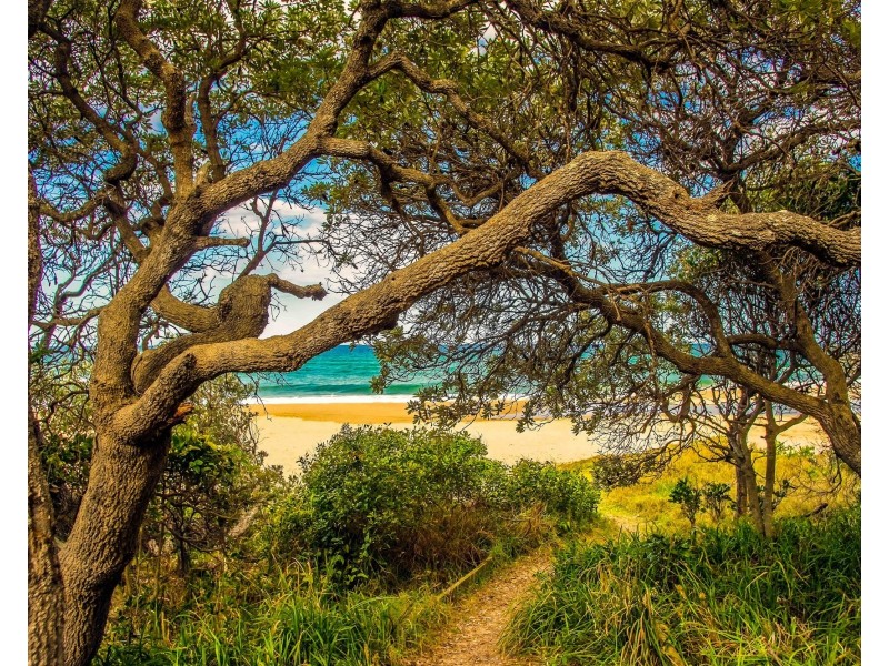 26 Hibiscus Drive, Valla Beach NSW 2448