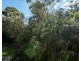 3F/14 Bligh Place, Randwick NSW 2031