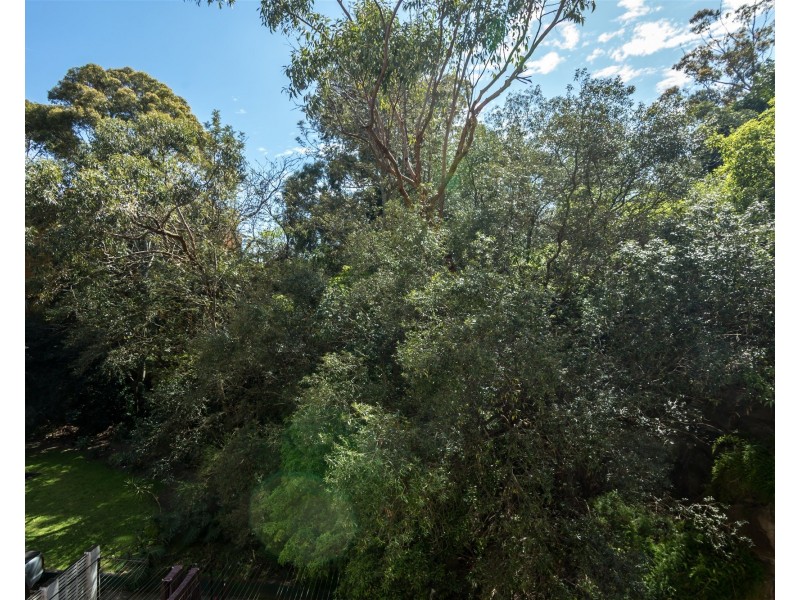 3F/14 Bligh Place, Randwick NSW 2031