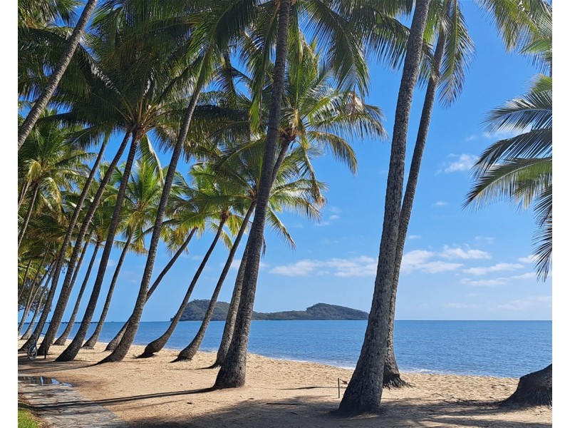339/305-341 Coral Coast Drive, Palm Cove QLD 4879