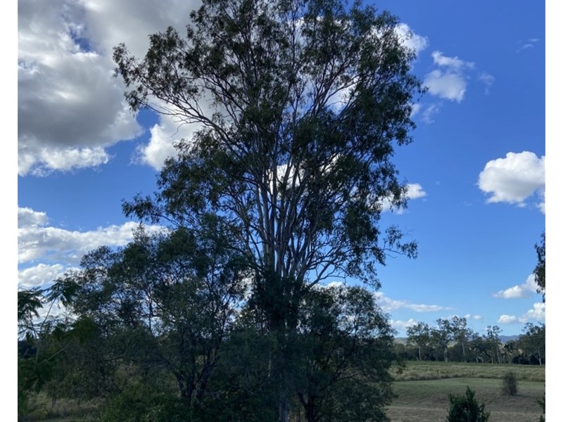 117 Payne Road, Boyne Valley QLD 4680