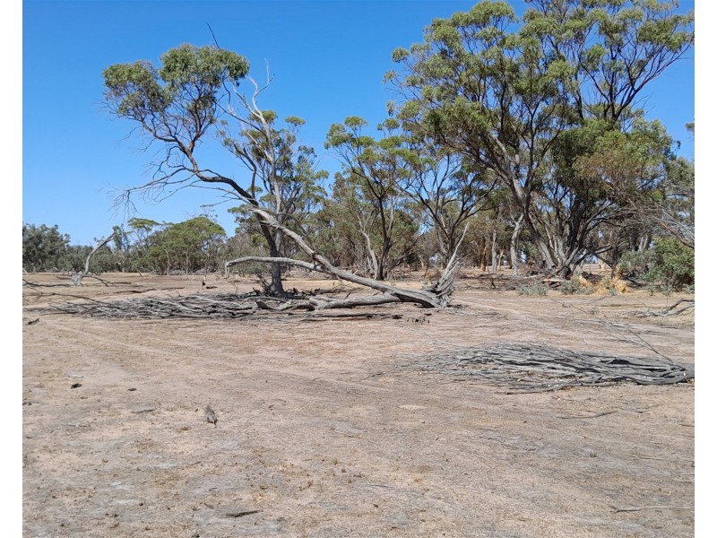 715 Mattiske Road, Katanning WA 6317