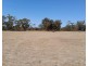 715 Mattiske Road, Katanning WA 6317