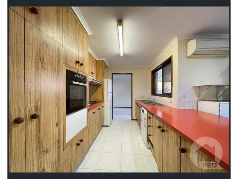 119 Nyleta Street, Coopers Plains QLD 4108