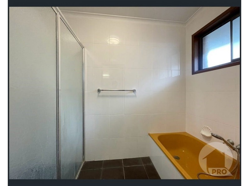 119 Nyleta Street, Coopers Plains QLD 4108