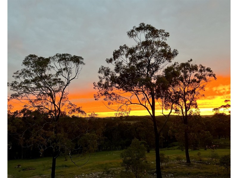 Maitland NSW 2320