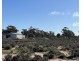 12218 Bibiking Rd, Dumbleyung WA 6350