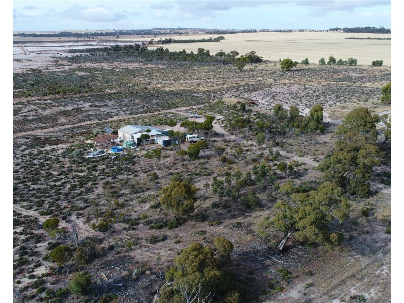 12218 Bibiking Rd, Dumbleyung WA 6350