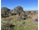 12218 Bibiking Rd, Dumbleyung WA 6350