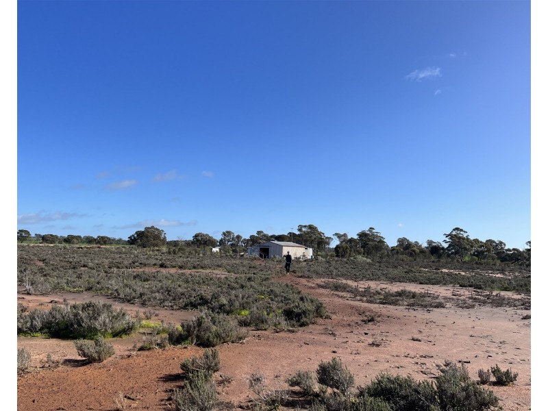 12218 Bibiking Rd, Dumbleyung WA 6350