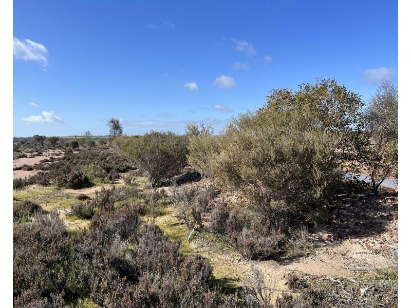 12218 Bibiking Rd, Dumbleyung WA 6350