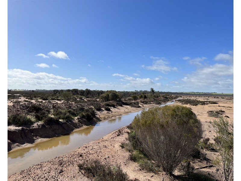 12218 Bibiking Rd, Dumbleyung WA 6350