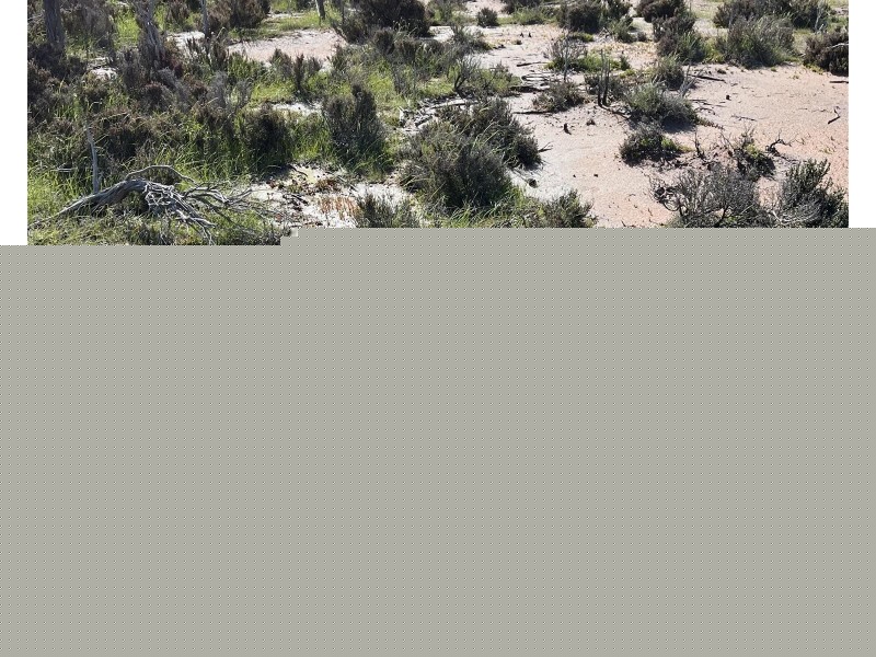 12218 Bibiking Rd, Dumbleyung WA 6350