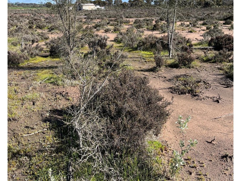 12218 Bibiking Rd, Dumbleyung WA 6350