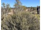 12218 Bibiking Rd, Dumbleyung WA 6350
