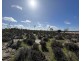 12218 Bibiking Rd, Dumbleyung WA 6350