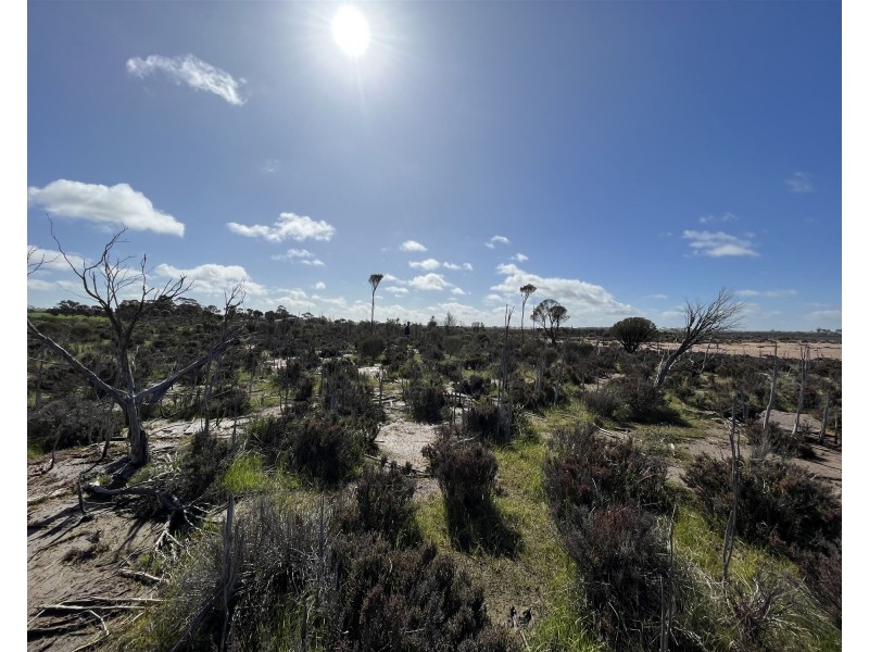 12218 Bibiking Rd, Dumbleyung WA 6350