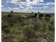 12218 Bibiking Rd, Dumbleyung WA 6350