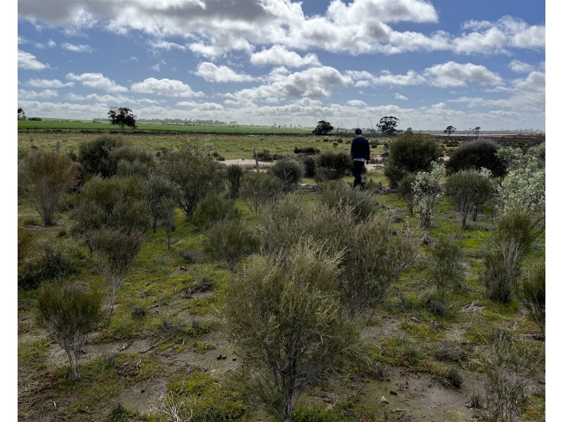 12218 Bibiking Rd, Dumbleyung WA 6350