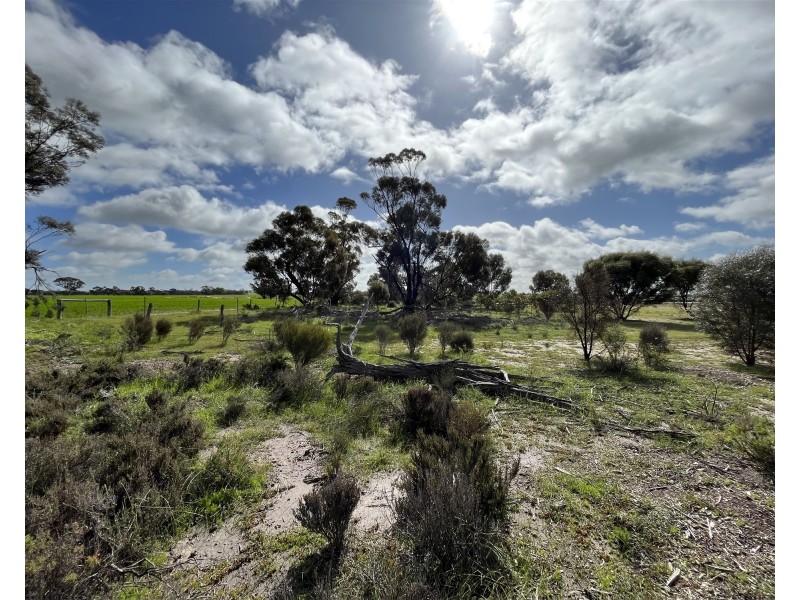 12218 Bibiking Rd, Dumbleyung WA 6350