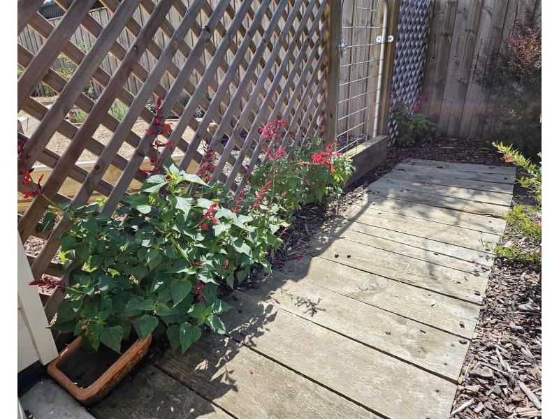 21 Betula Grove, Bundanoon NSW 2578