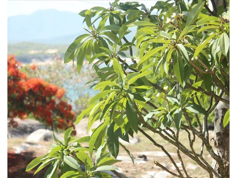 52 Helen Street, Cooktown QLD 4895