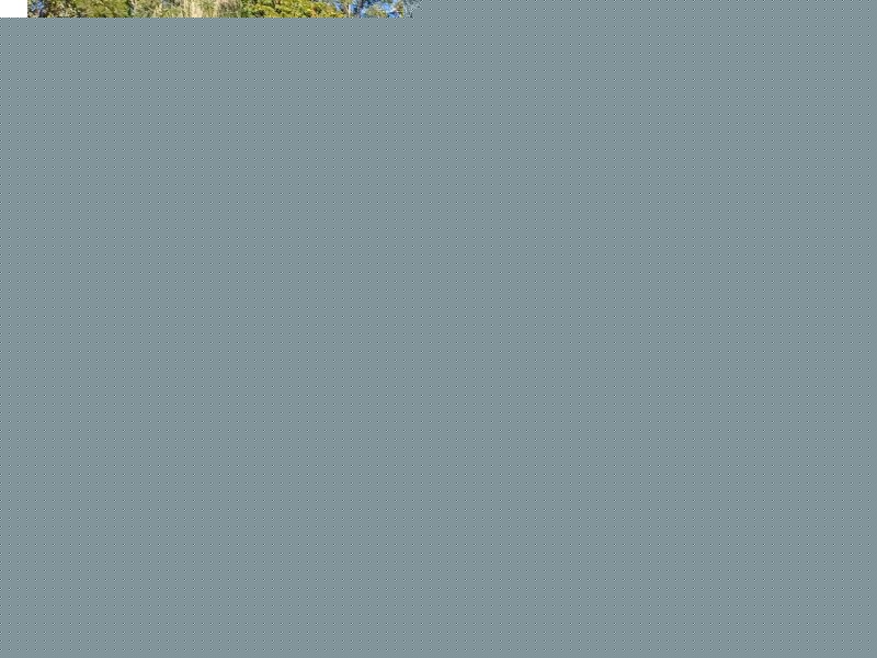 22 panaroo Street, Macleay Island QLD 4184