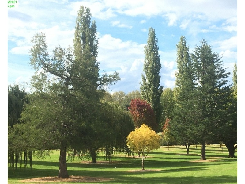 87 Petre, Tenterfield NSW 2372