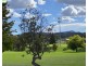 87 Petre, Tenterfield NSW 2372
