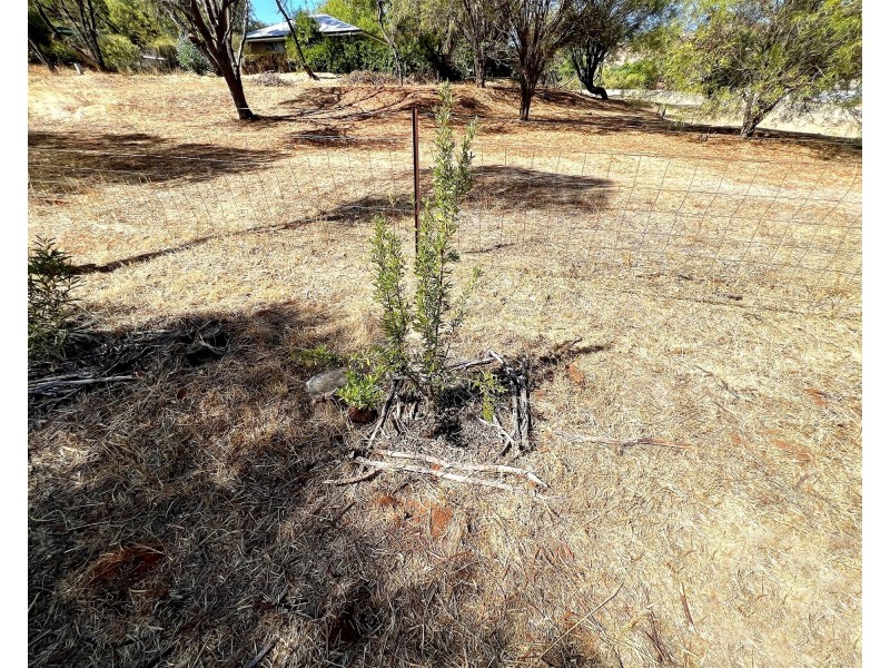 3 Connor Street, Toodyay WA 6566