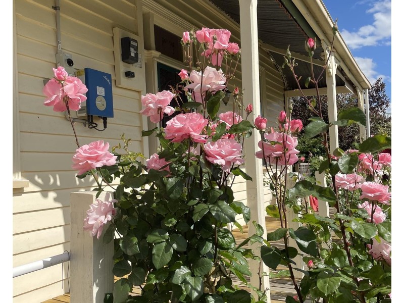 12 Kennedy Street, Maryborough VIC 3465