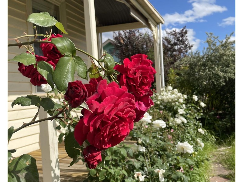 12 Kennedy Street, Maryborough VIC 3465